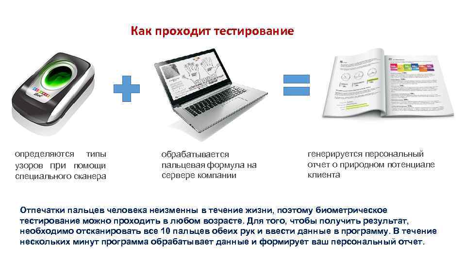 Как проходит тестирование определяются типы узоров при помощи специального сканера обрабатывается пальцевая формула на