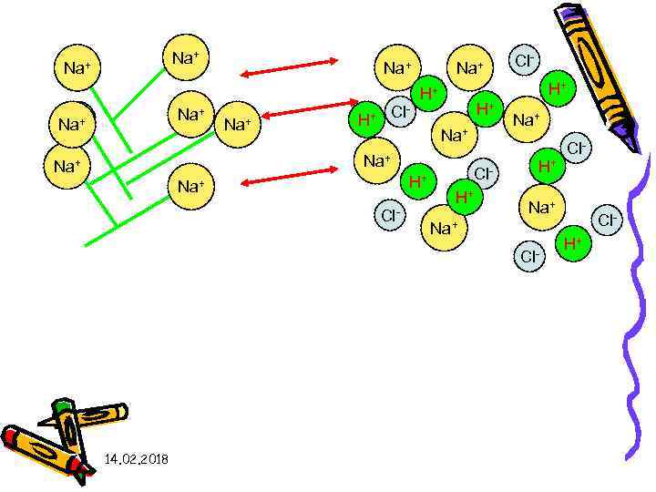 Na+ H+ H+ Na+ H+ + Na Cl- H+ Na+ H+ H+ H+ Na+
