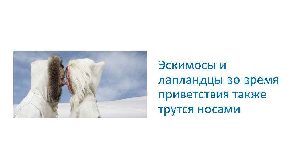 Эскимосы и лапландцы во время приветствия также трутся носами 