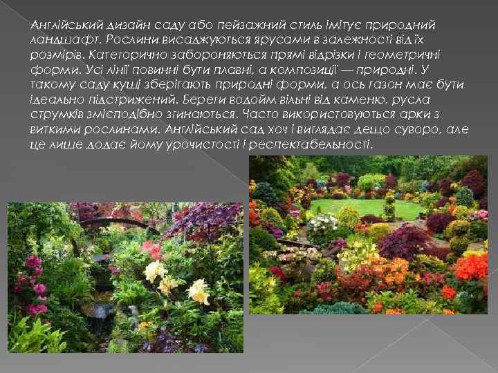 Англійський дизайн саду або пейзажний стиль імітує природний ландшафт. Рослини висаджуються ярусами в залежності