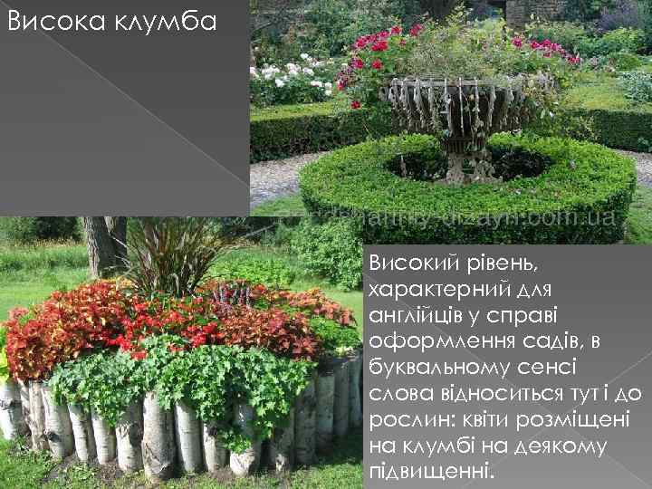 Висока клумба Високий рівень, характерний для англійців у справі оформлення садів, в буквальному сенсі