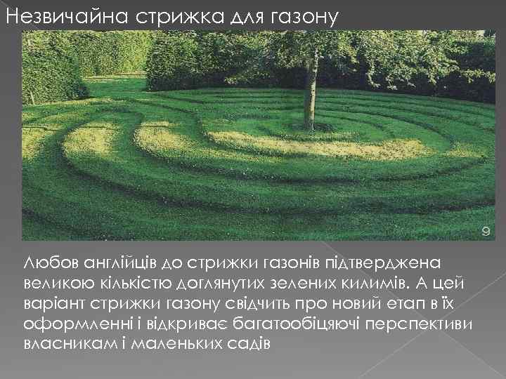 Незвичайна стрижка для газону Любов англійців до стрижки газонів підтверджена великою кількістю доглянутих зелених