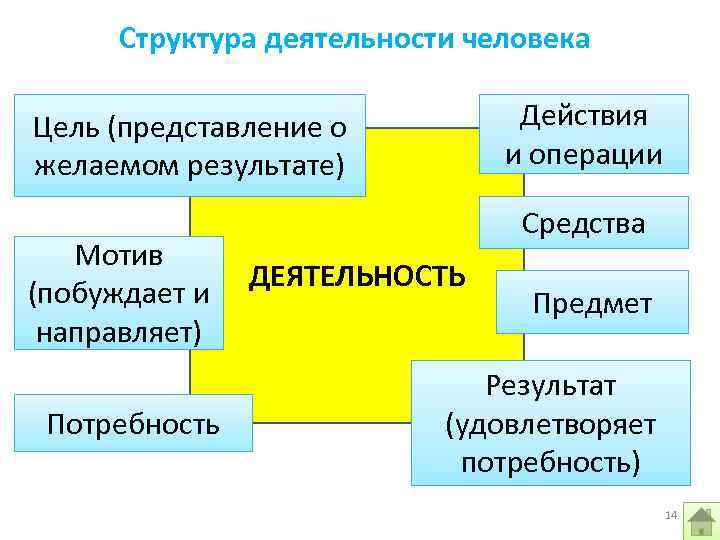 Структура деятельности человека Действия и операции Цель (представление о желаемом результате) Мотив ДЕЯТЕЛЬНОСТЬ (побуждает