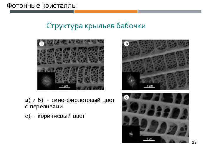 Фотонные кристаллы Структура крыльев бабочки а) и б) - сине-фиолетовый цвет с переливами с)