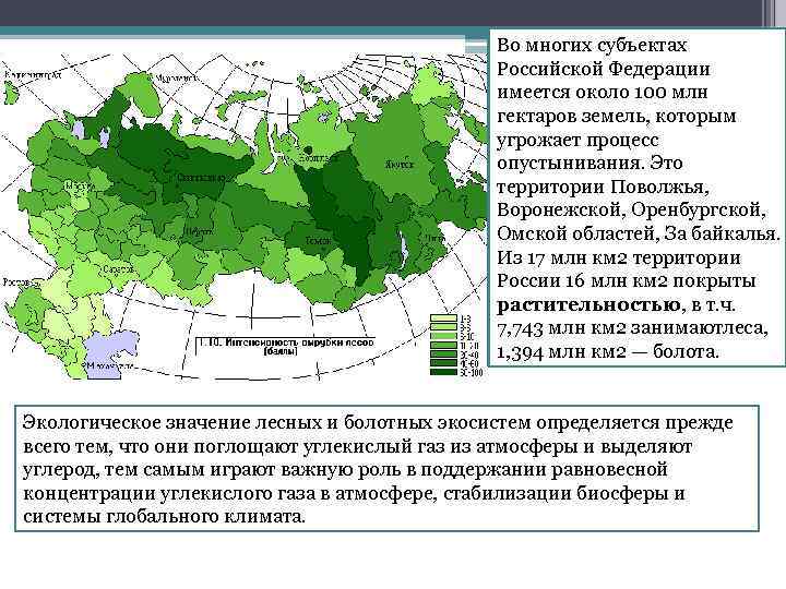 Во многих субъектах Российской Федерации имеется около 100 млн гектаров земель, которым угрожает процесс