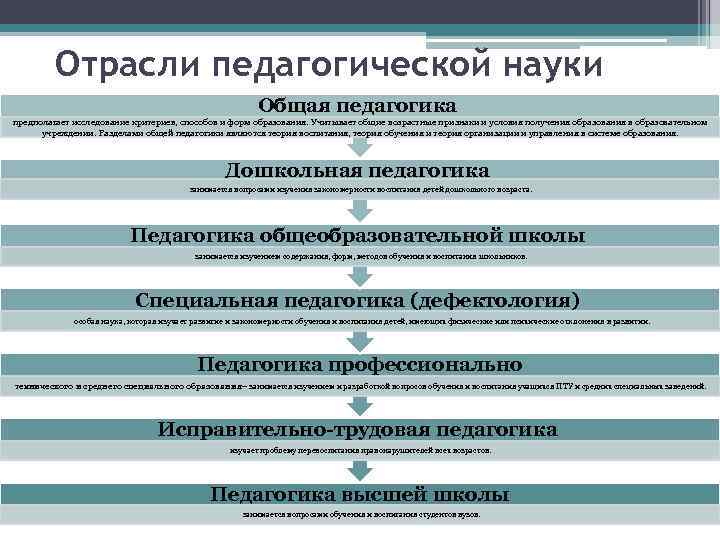 Отрасли педагогической науки Общая педагогика предполагает исследование критериев, способов и форм образования. Учитывает общие