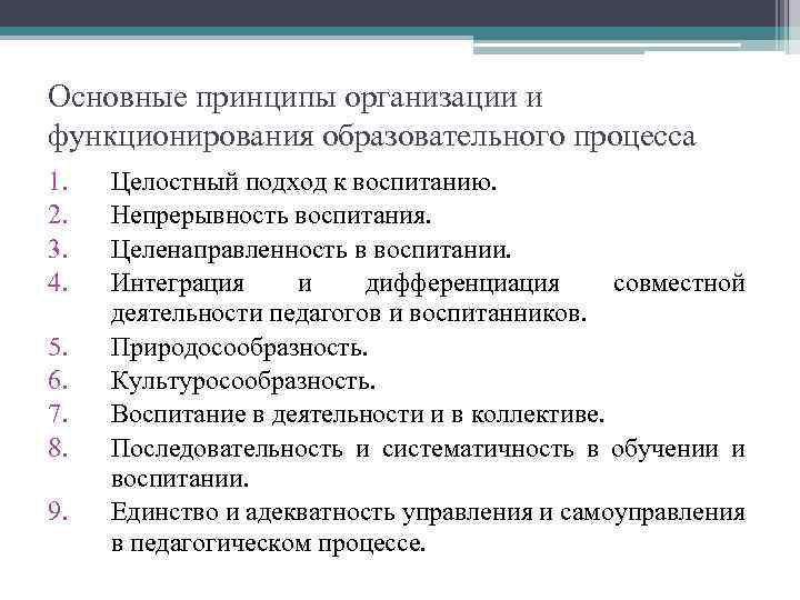 Основные принципы организации и функционирования образовательного процесса 1. 2. 3. 4. 5. 6. 7.