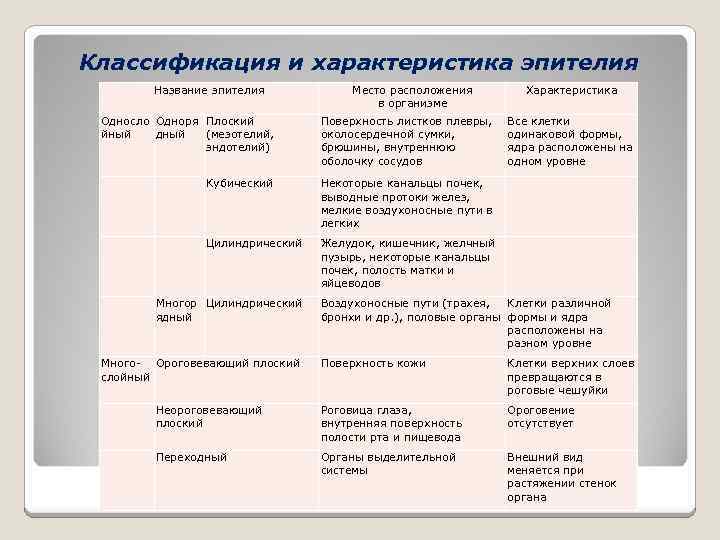 Классификация и характеристика эпителия Название эпителия Место расположения в организме Характеристика Односло Одноря Плоский
