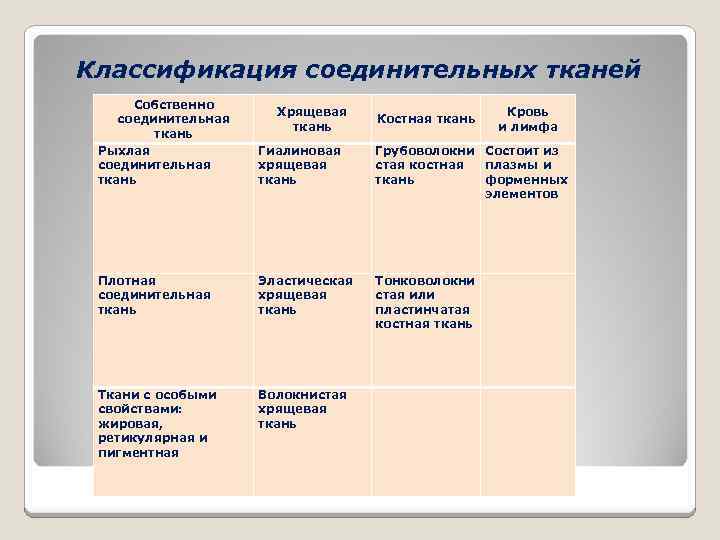 Классификация соединительных тканей Собственно соединительная ткань Рыхлая соединительная ткань Гиалиновая хрящевая ткань Грубоволокни Состоит