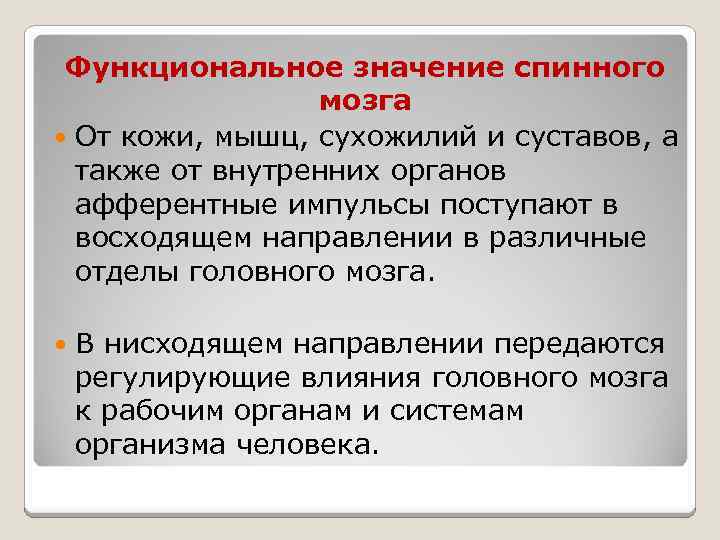 Функциональное значение спинного мозга От кожи, мышц, сухожилий и суставов, а также от внутренних
