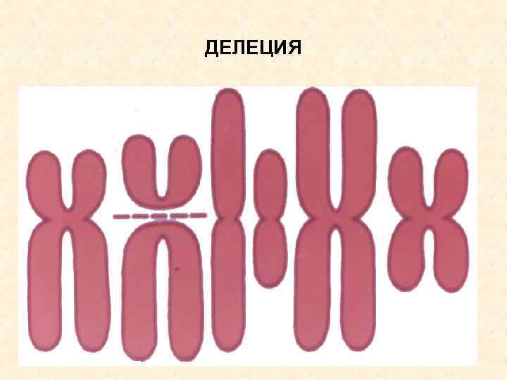 ДЕЛЕЦИЯ 