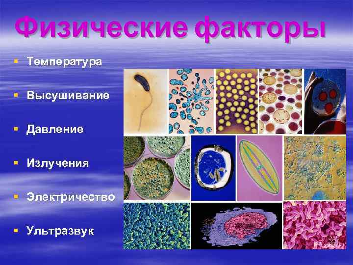 Физические факторы фото