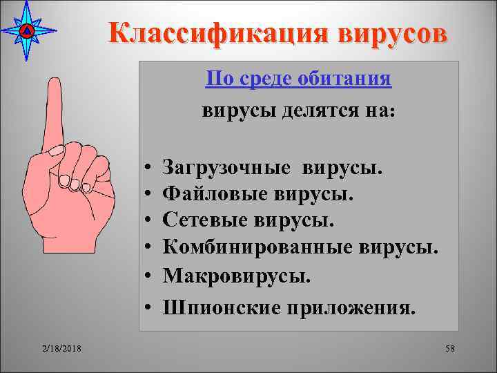 Классификация вирусов По среде обитания вирусы делятся на: • • • 2/18/2018 Загрузочные вирусы.