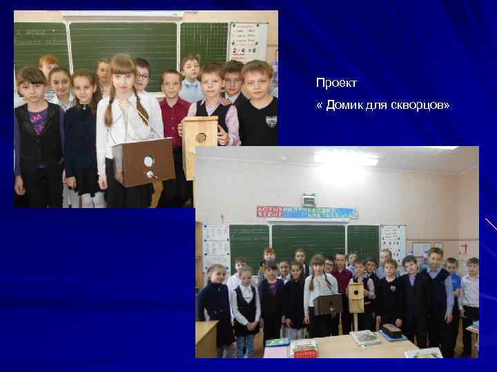 Проект « Домик для скворцов» 