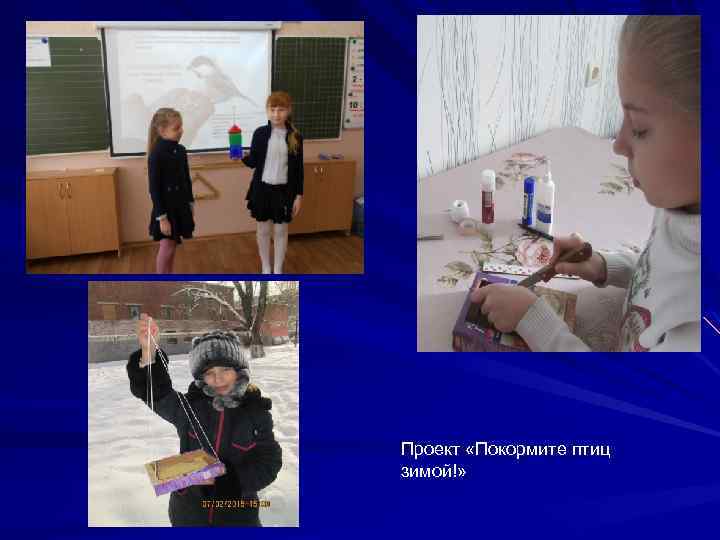 Проект «Покормите птиц зимой!» 