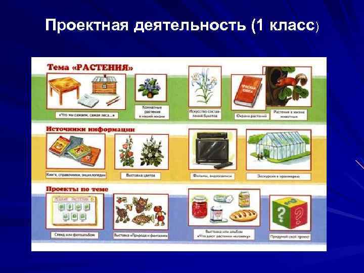 Проектная деятельность (1 класс) 