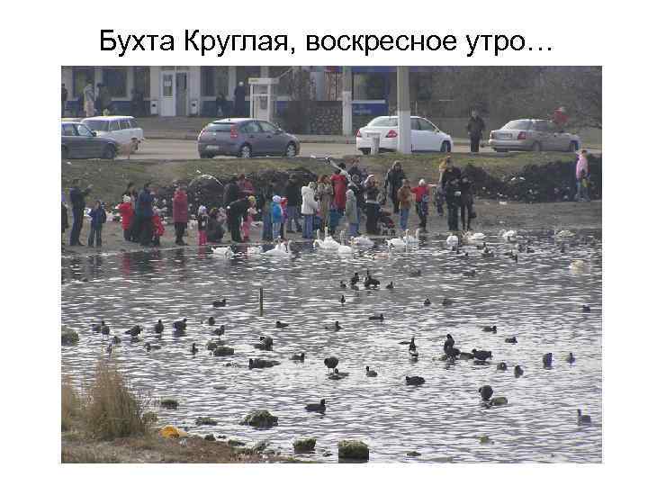 Бухта Круглая, воскресное утро… 