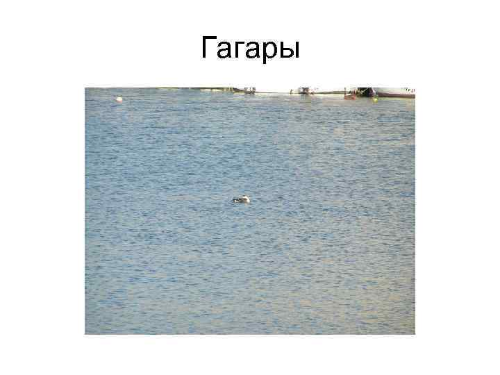 Гагары 