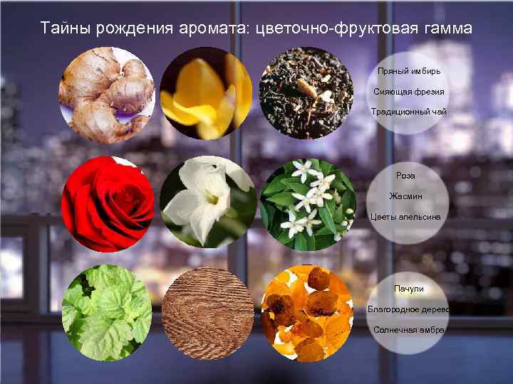 Тайны рождения аромата: цветочно-фруктовая гамма Пряный имбирь Сияющая фрезия Традиционный чай Роза Жасмин Цветы