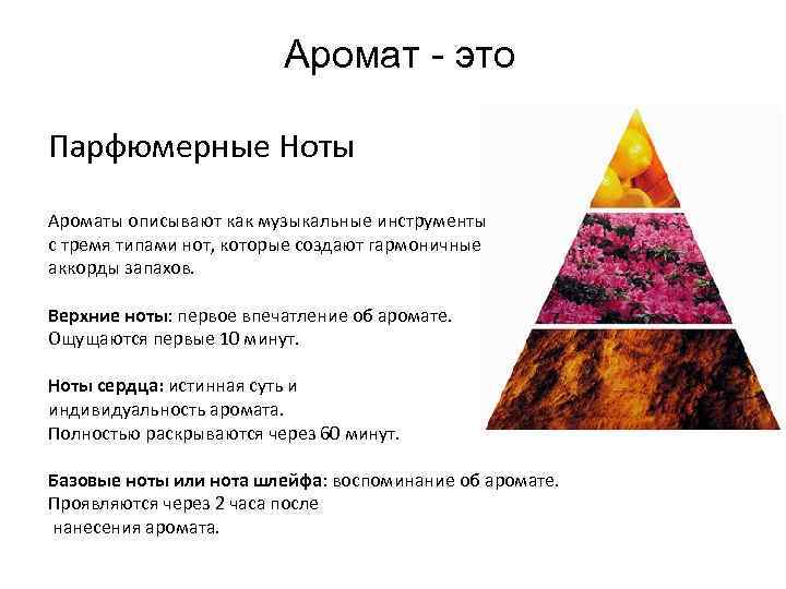 Аромат - это Парфюмерные Ноты Ароматы описывают как музыкальные инструменты с тремя типами нот,