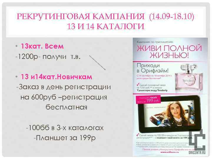 РЕКРУТИНГОВАЯ КАМПАНИЯ (14. 09 -18. 10) 13 И 14 КАТАЛОГИ • 13 кат. Всем