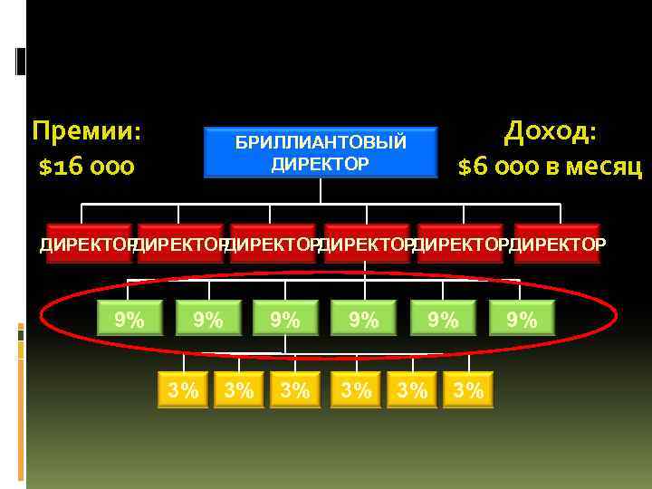 Премии: $16 000 Доход: $6 000 в месяц БРИЛЛИАНТОВЫЙ ДИРЕКТОР ДИРЕКТОРДИРЕКТОР 9% 9% 3%