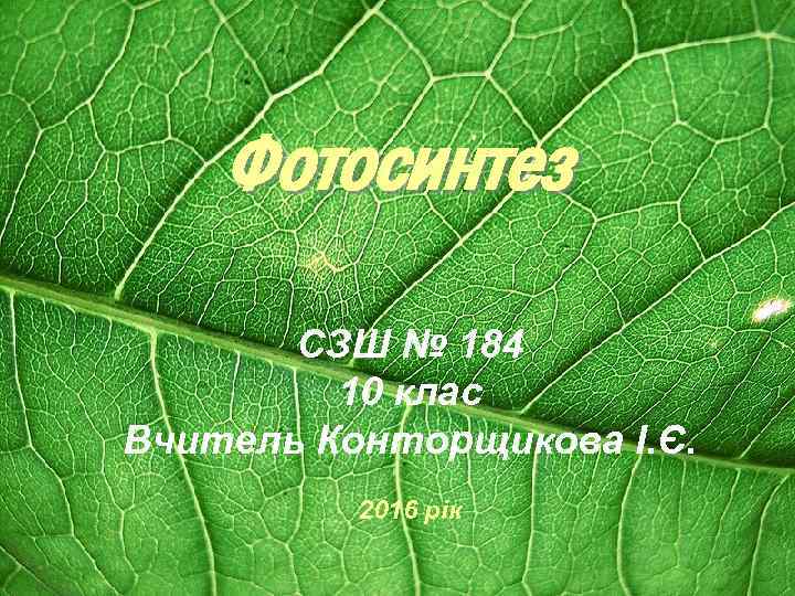 Фотосинтез СЗШ № 184 10 клас Вчитель Конторщикова І. Є. 2016 рік 