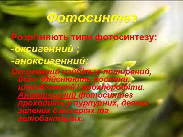 Фотосинтез Розрізняють типи фотосинтезу: -оксигенний ; -аноксигенний; Оксигенний найбільш поширений, його здійснюють рослини, ціанобактерії