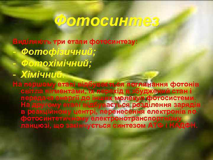 Фотосинтез Виділяють три етапи фотосинтезу: - Фотофізичний; - Фотохімічний; - Хімічний. На першому етапі
