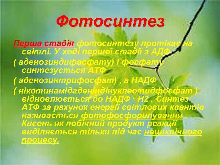 Фотосинтез Перша стадія фотосинтезу протікає на світлі. У ході першої стадії з АДФ (