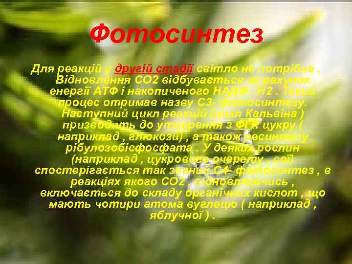 Фотосинтез Для реакцій у другій стадії світло не потрібне. Відновлення CO 2 відбувається за