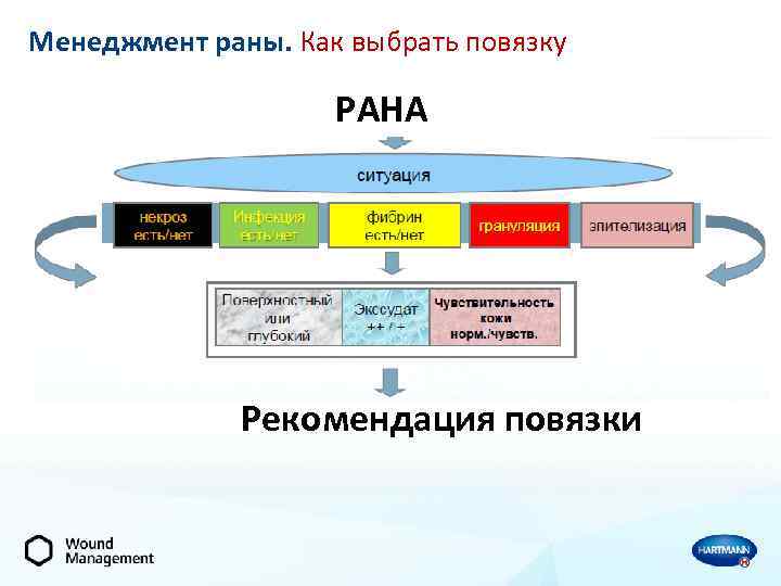 Менеджмент раны. Как выбрать повязку РАНА Рекомендация повязки 