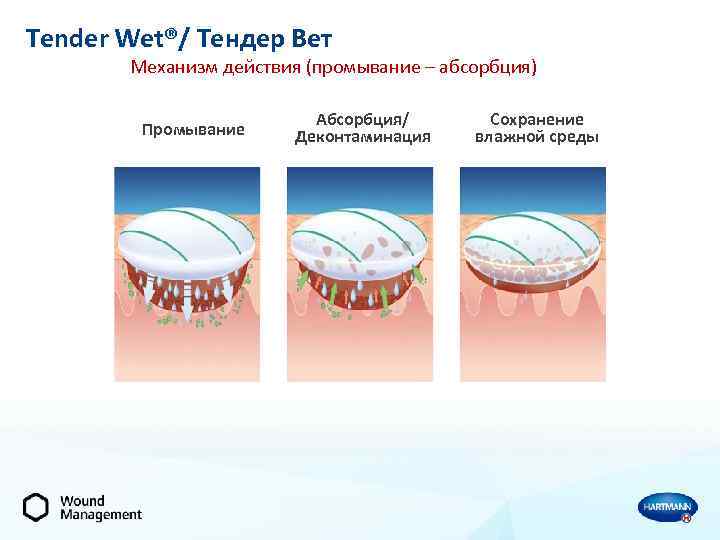 Tender Wet®/ Тендер Вет Механизм действия (промывание – абсорбция) Промывание Абсорбция/ Деконтаминация Сохранение влажной