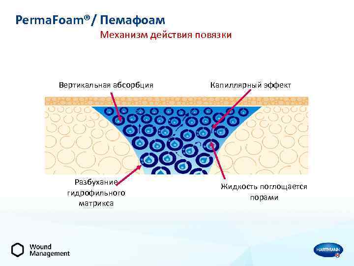 Perma. Foam®/ Пемафоам Механизм действия повязки Вертикальная абсорбция Разбухание гидрофильного матрикса Капиллярный эффект Жидкость