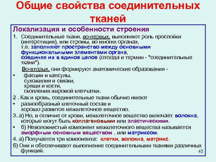 Общие свойства соединительных тканей Локализация и особенности строения 1. Соединительные ткани, во-первых, выполняют роль