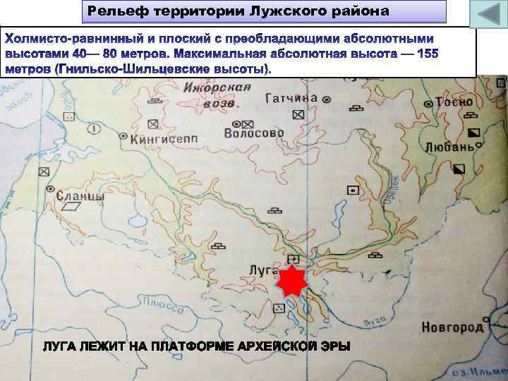 Рельеф территории Лужского района 