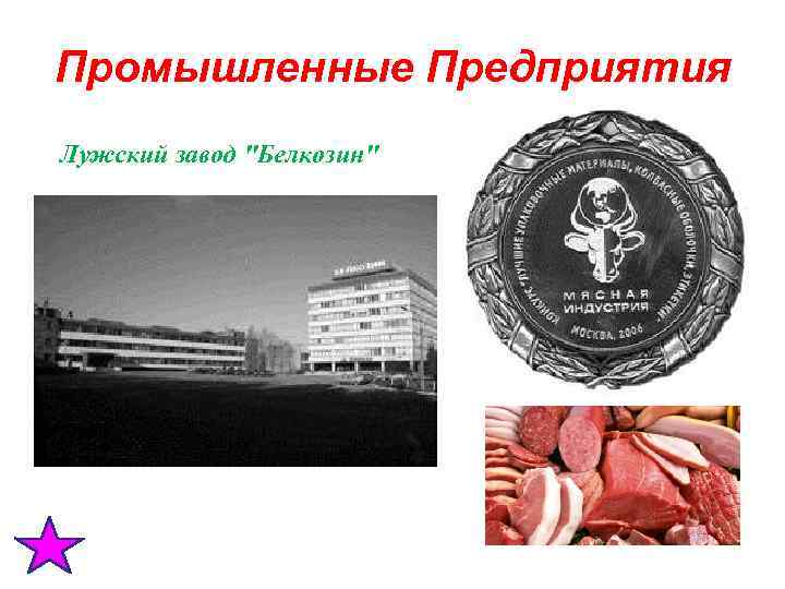  Промышленные Предприятия Лужский завод 