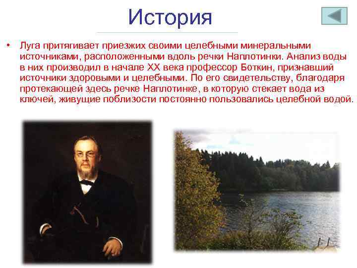 История • Луга притягивает приезжих своими целебными минеральными источниками, расположенными вдоль речки Наплотинки. Анализ