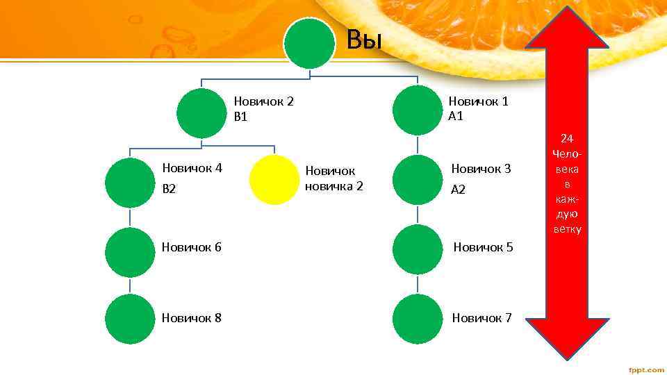 Вы Новичок 1 A 1 Новичок 2 B 1 Новичок 4 B 2 Новичок