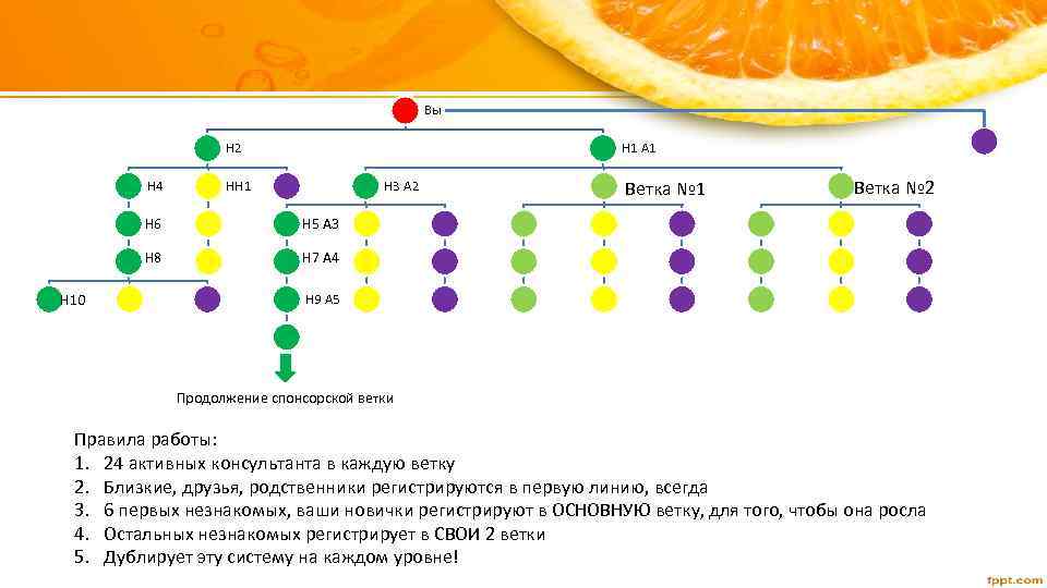 Вы Н 2 Н 4 Н 1 A 1 НН 1 Н 3 A