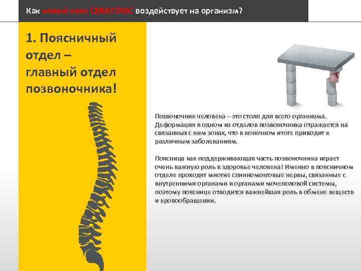 Как новый пояс CERATONIC воздействует на организм? 1. Поясничный отдел – главный отдел позвоночника!