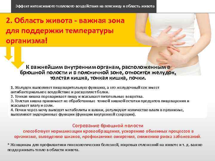 Эффект интенсивного теплового воздействия на поясницу и область живота 2. Область живота - важная