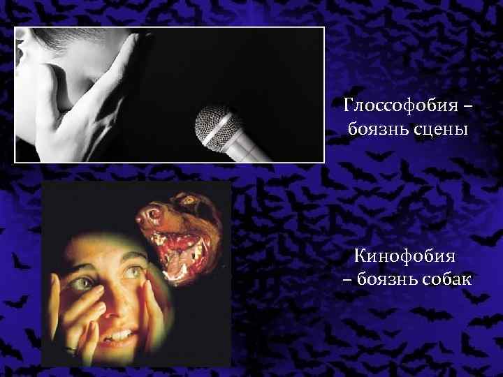 Глоссофобия – боязнь сцены Кинофобия – боязнь собак 