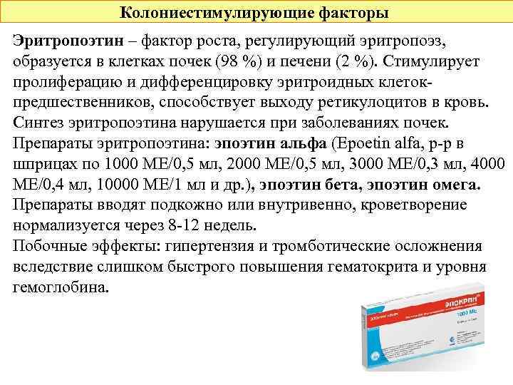 Колониестимулирующие факторы Эритропоэтин – фактор роста, регулирующий эритропоэз, образуется в клетках почек (98 %)