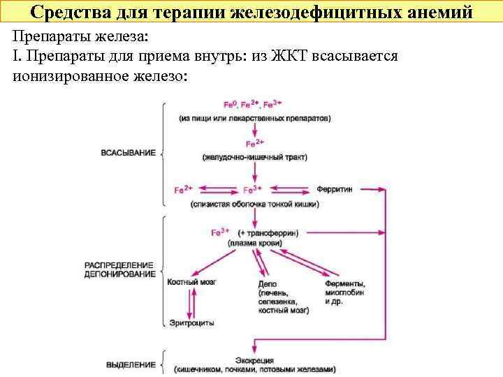 Средства для терапии железодефицитных анемий Препараты железа: I. Препараты для приема внутрь: из ЖКТ