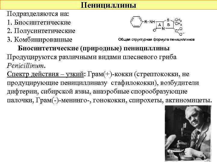 Пенициллины Подразделяются на: 1. Биосинтетические 2. Полусинтетические 3. Комбинированные Биосинтетические (природные) пенициллины Продуцируются различными