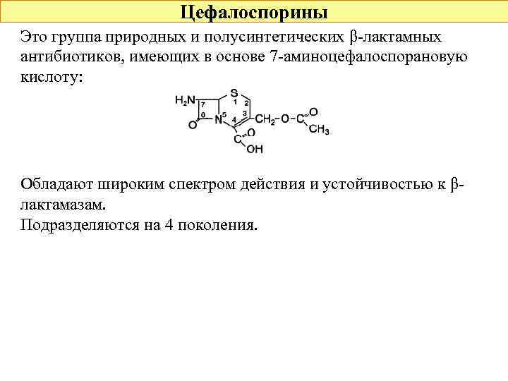 Цефалоспорины Это группа природных и полусинтетических β-лактамных антибиотиков, имеющих в основе 7 -аминоцефалоспорановую кислоту: