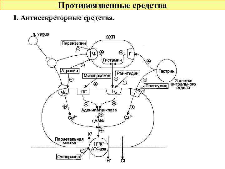 Противоязвенные средства I. Антисекреторные средства. 