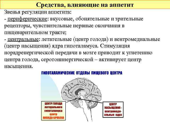 Средства, влияющие на аппетит Звенья регуляции аппетита: - периферические: вкусовые, обонятельные и зрительные рецепторы,