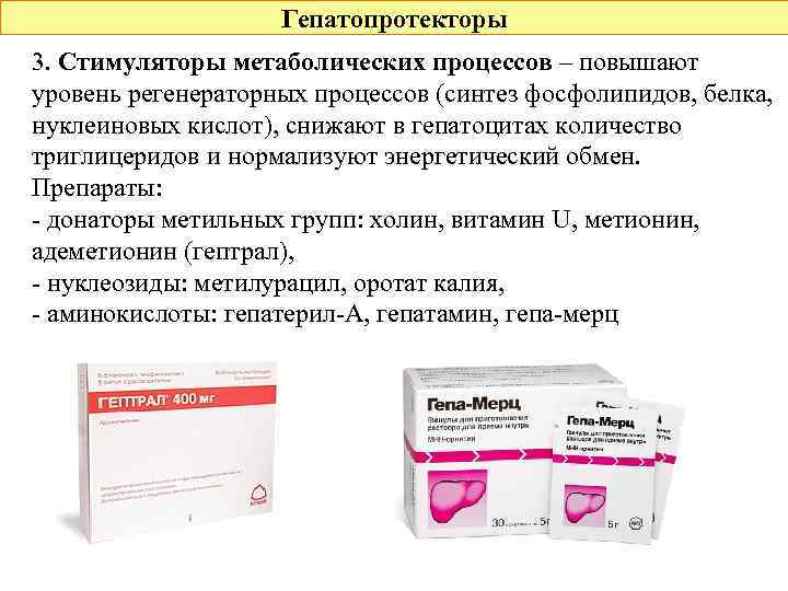 Гепатопротекторы 3. Стимуляторы метаболических процессов – повышают уровень регенераторных процессов (синтез фосфолипидов, белка, нуклеиновых